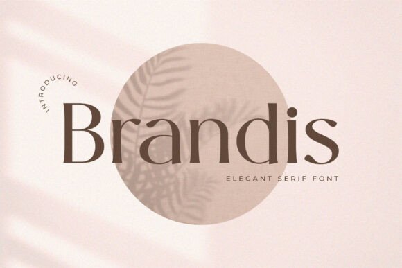 Download Brandis - Premium Resources
